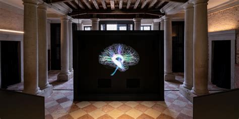 human brains exhibition venice